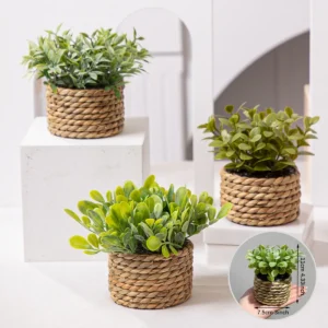 petite plante verte artificielle